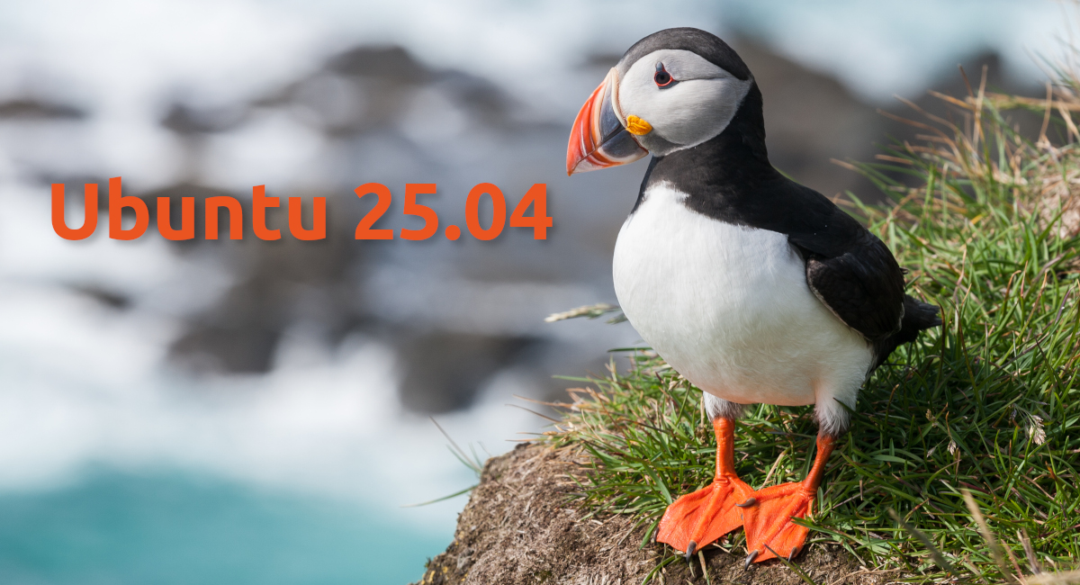 Discover the Ubuntu Pluckin Puffy with Cirrus7 Mini PC